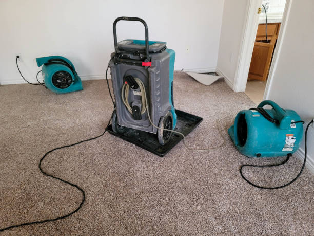 Best Basement water damage restoration  in Flowing Wells, AZ