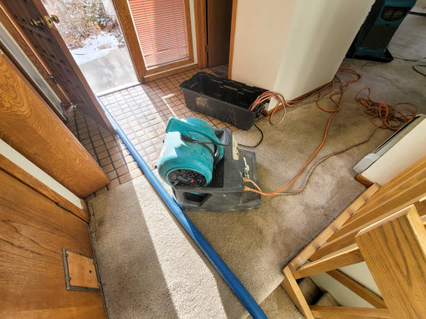 Best Flood restoration services  in Flowing Wells, AZ