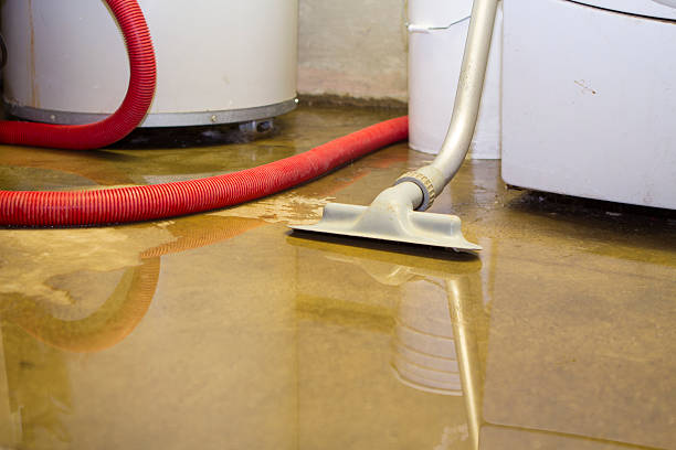 Best Water damage contractors near me  in Flowing Wells, AZ