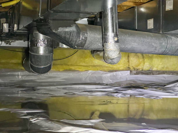Best Water damage restoration near me  in Flowing Wells, AZ