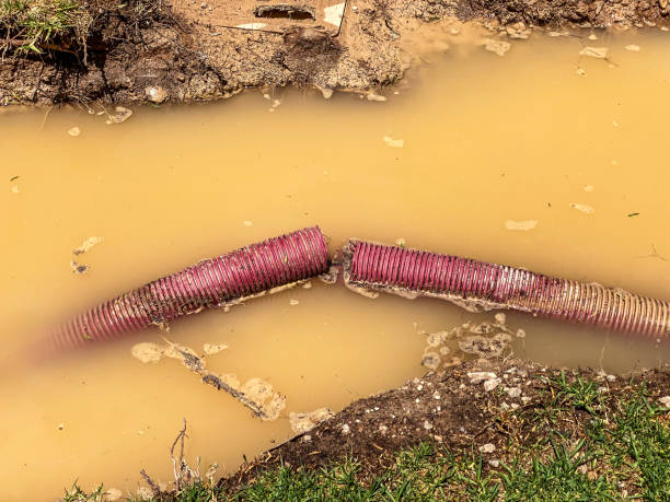 Reliable AZ Water damage restoration Solutions